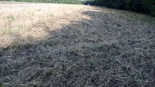 ДІСКУЄМО ПОЛЕ ДІСКОВОЮ БОРОНОЮ БОМЕТ смотреть онлайн