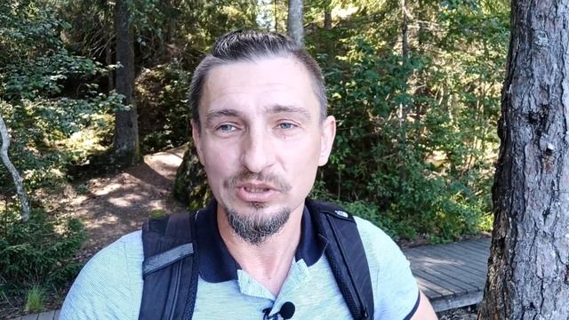 Вакансии и зарплаты в Швеции для мигрантов. смотреть онлайн