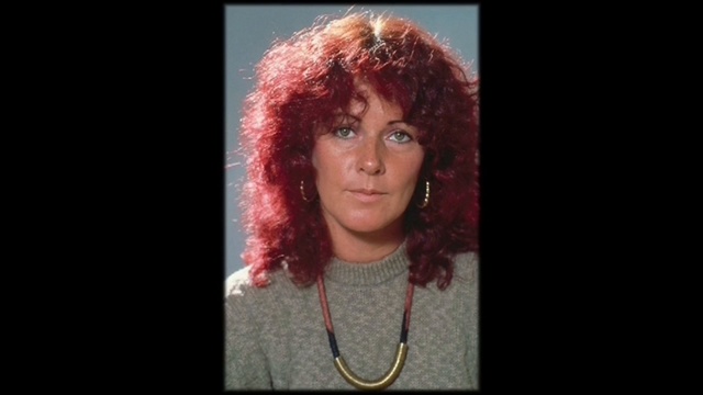 ABBA Picture Gallery The Definitive Collection. смотреть онлайн