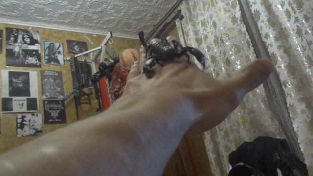 Скорпион на руке смотреть онлайн