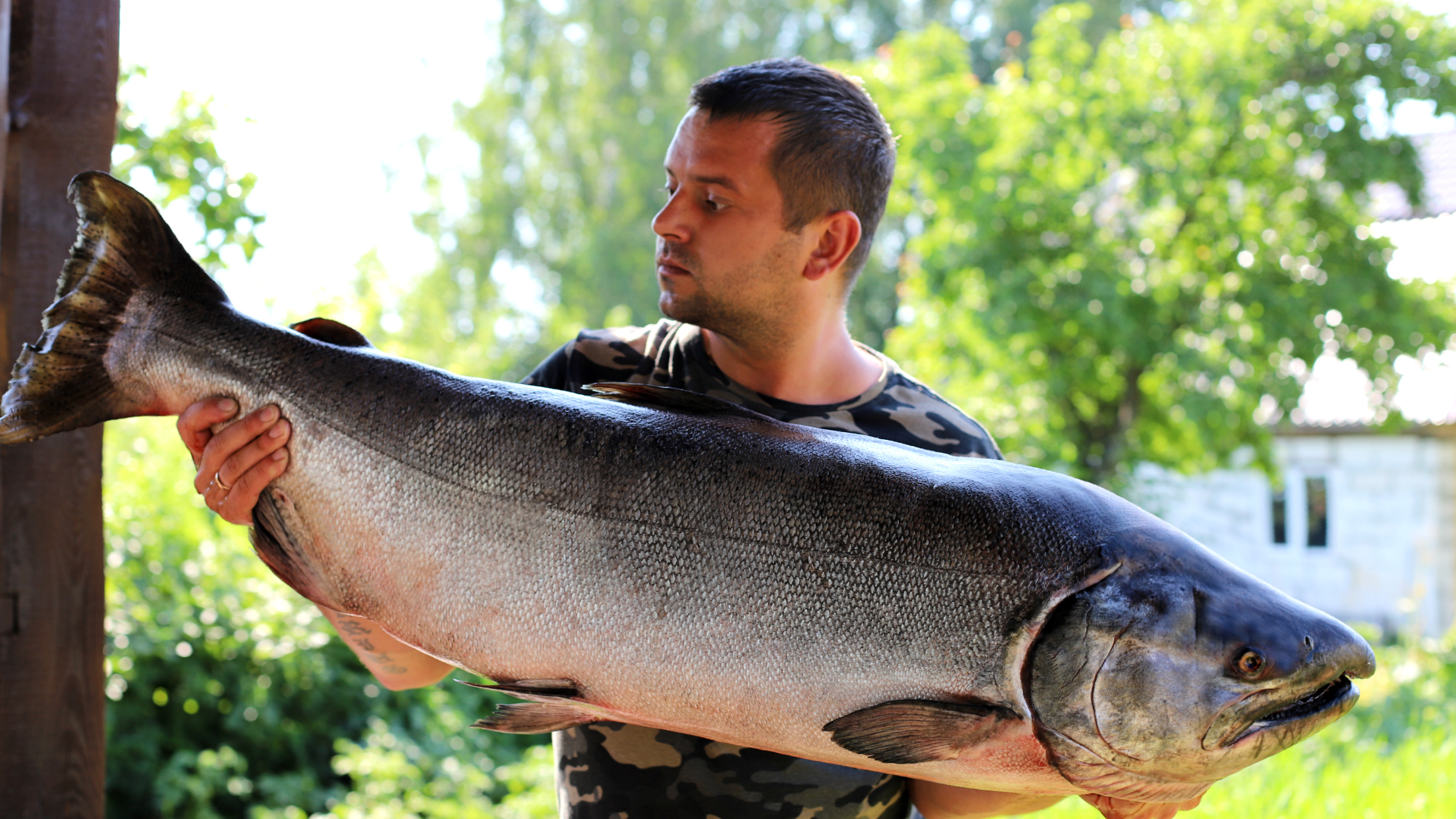 СЕНЯ В ДЕЛЕ