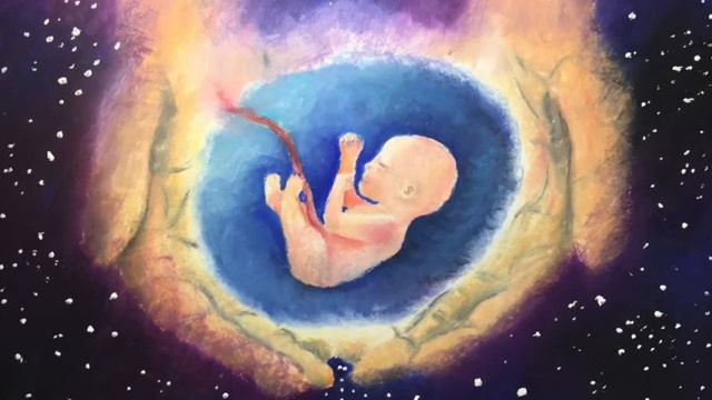 Дети Новой Земли Осеннее Равноденствие 23 09 22 смотреть онлайн