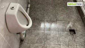 Туалеты внутри школы