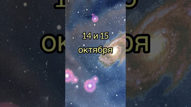 14 и 15 октября 2020 смотреть онлайн