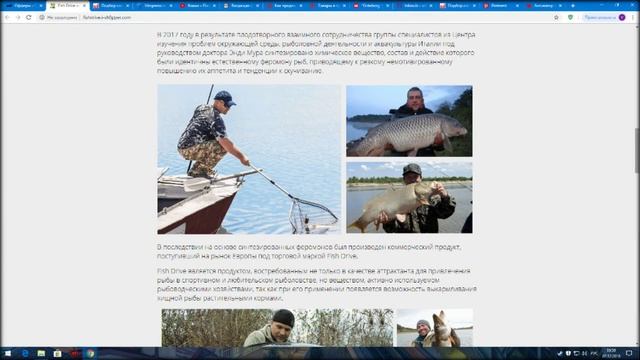 активатор клева голодная рыба отзывы смотреть онлайн