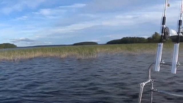 Отдых рыбалка в Финляндии. Часть 2. Район Пункахарью. Рыбная ловля сбор грибов. смотреть онлайн