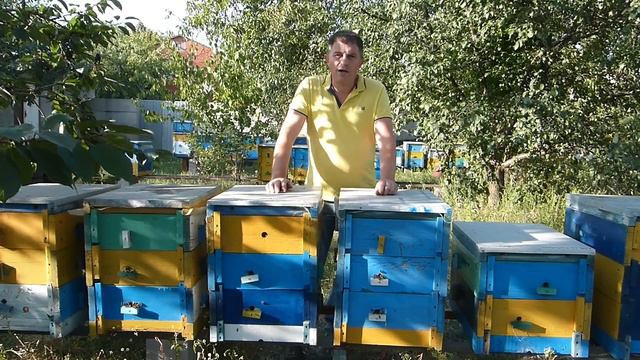 Как нарастить сильные пчелосемьи в зиму. Главные ошибки пчеловодства в конце сезона. смотреть онлайн