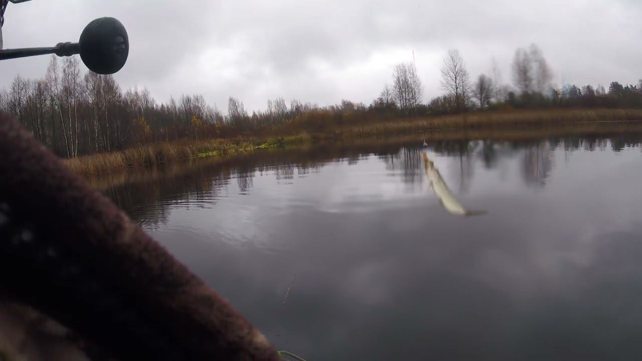 GOPR1583 смотреть онлайн