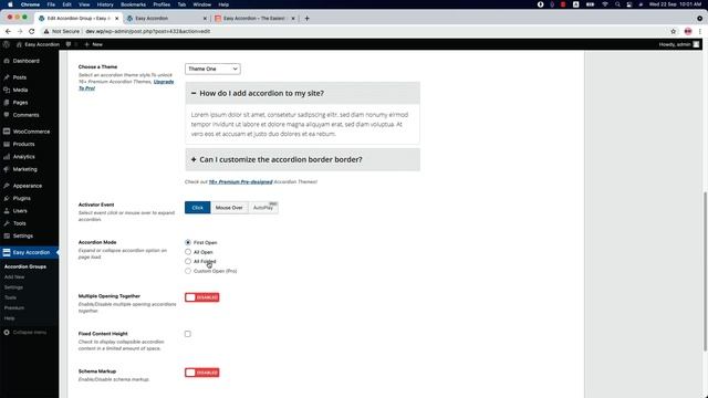 Easy Accordion - Getting Started смотреть онлайн