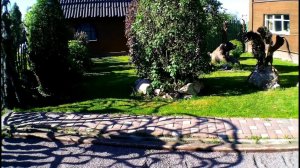 Небольшой обзор оформления ланшафта!