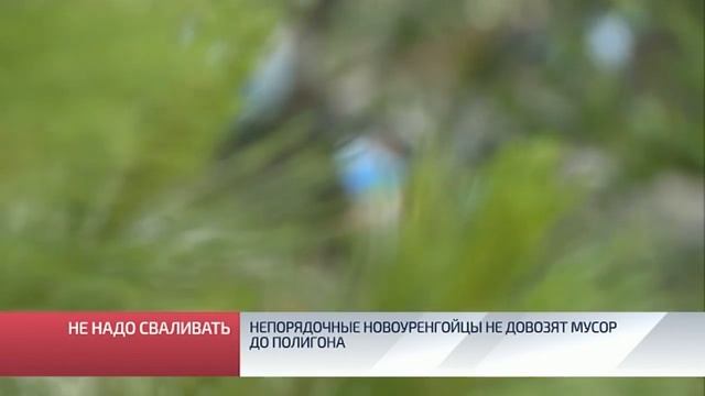 Непорядочные новоуренгойцы не довозят мусор до полигона смотреть онлайн