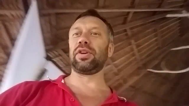 Что едят Йоги смотреть онлайн
