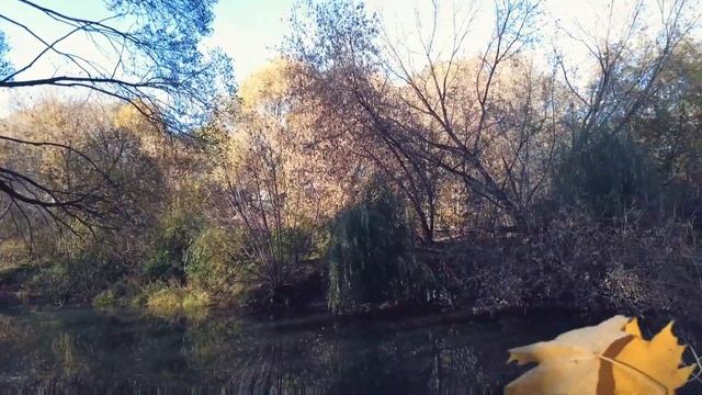 Золотая осень в парке Покровское - Стрешнево. Тушим говядину в афганском казане!!! смотреть онлайн