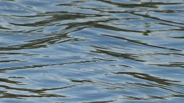 Na stavke y Joe !!! May 25' 2021 смотреть онлайн