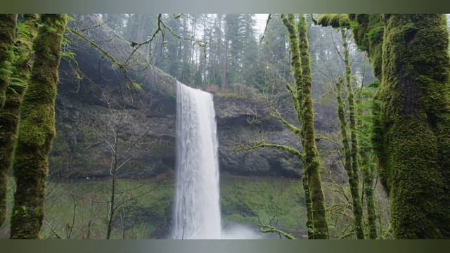 Sleep Музыка для крепкого сна, медитации, отдыха ✨ уснуть за 3 минуты смотреть онлайн