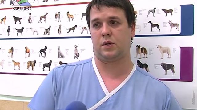 Обязательное чипирование собак - как это будет смотреть онлайн
