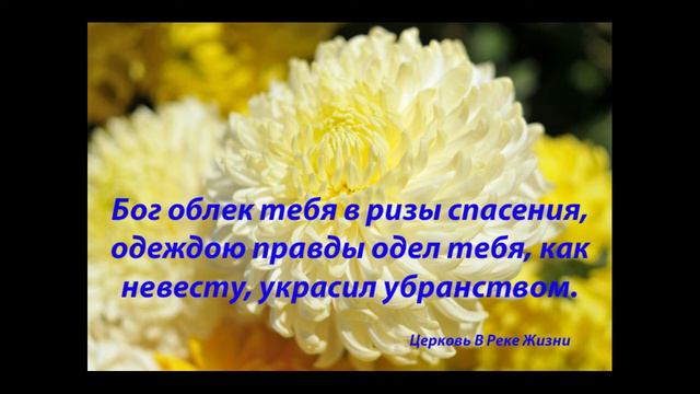 КАК НЕ ТЕРЯТЬ ТО,ЧТО БОГ НАМ ОБЕЩАЛ. БОГ СИЛЁН. 28.03.22. Ст.пастор Людмила Мастерова смотреть онлайн