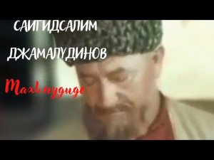 Сайгидсалим Джамалудинов - Махlмудиде