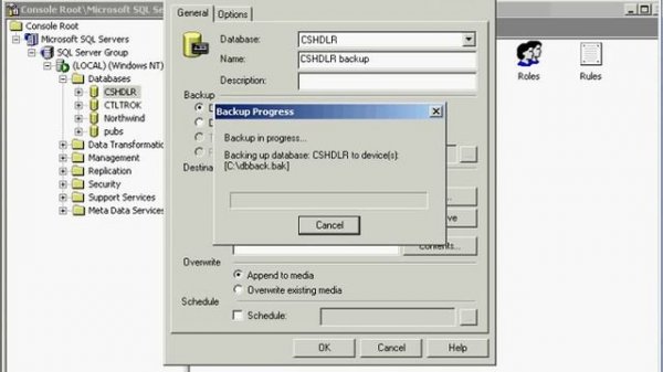 How to Backup Microsoft SQL Server 2000