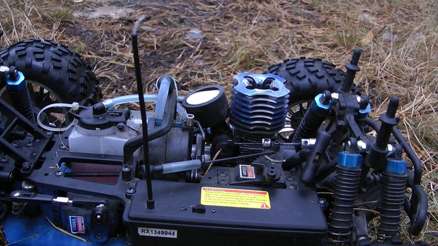 HSP 94188 в лесу