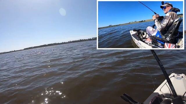 #redfin #perch kayak fishing. | fishing Victoria | Hobie pro angler | Australia смотреть онлайн