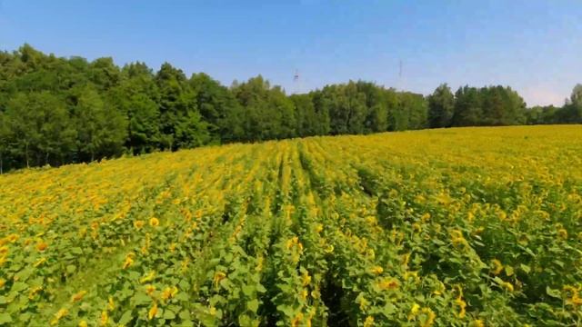 iflight Nazgul 5 смотреть онлайн