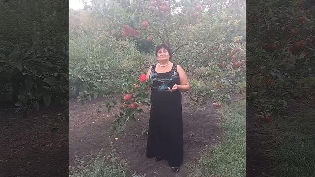 Одинокая ветка сирени смотреть онлайн