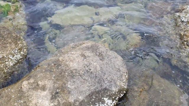 #АНАПА ТУРИСТЫ КРИЧАТ, НО КУПАЮТСЯ😱АНШЛАГ 10 ОКТЯБРЯ смотреть онлайн