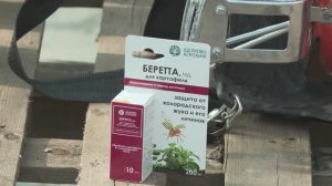 Одна обработка – ни одного колорадского жука!