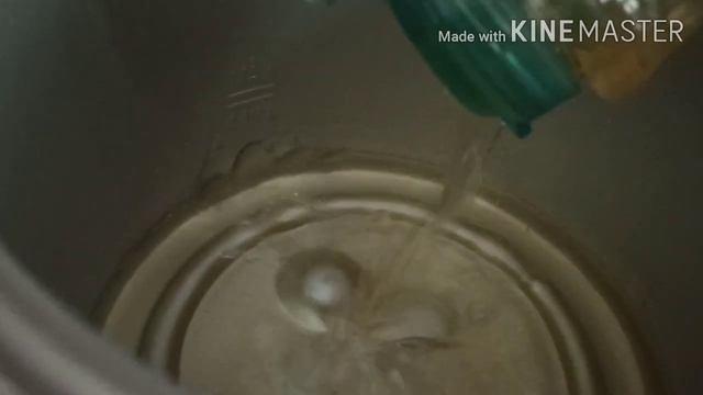 Moulinex Deep Fryer Review. How To Use It