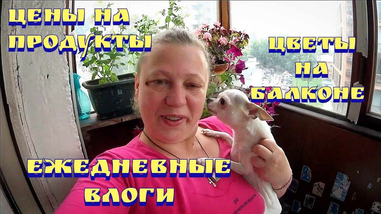 Цены на продукты в России / Ежедневные влоги / Отзывы на продукты / Цветы на балконе / Покупки смотреть онлайн