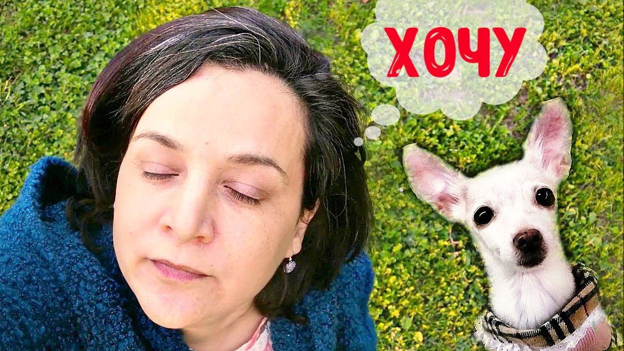 УСТАЛА ЗАИКАТЬСЯ * КРАСАВЕЦ МУЖЧИНА * ЗАКРАСИЛА СЕДИНУ..но неудачно смотреть онлайн