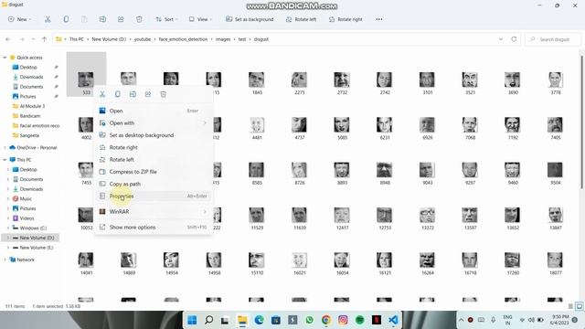Face Emotion Recognition Using Machine Learning | Python смотреть онлайн