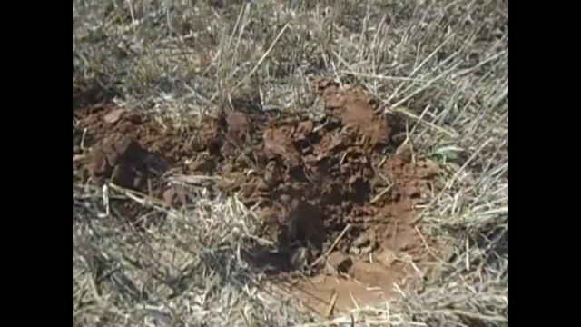 коп монет или серебряный рубль Николая II смотреть онлайн