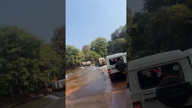 Наша поездка в Молем - национальный парк. Часть 1#goa #india #netionalpark #malen смотреть онлайн