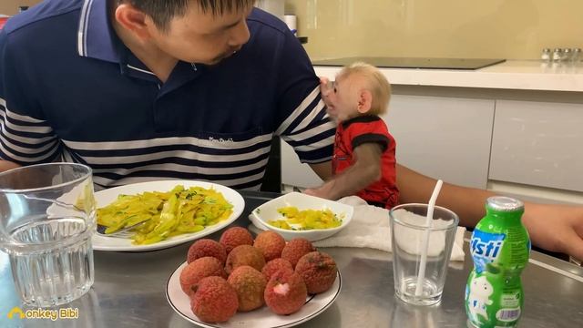 Monkey BiBi is obedient, eats well and is very full смотреть онлайн