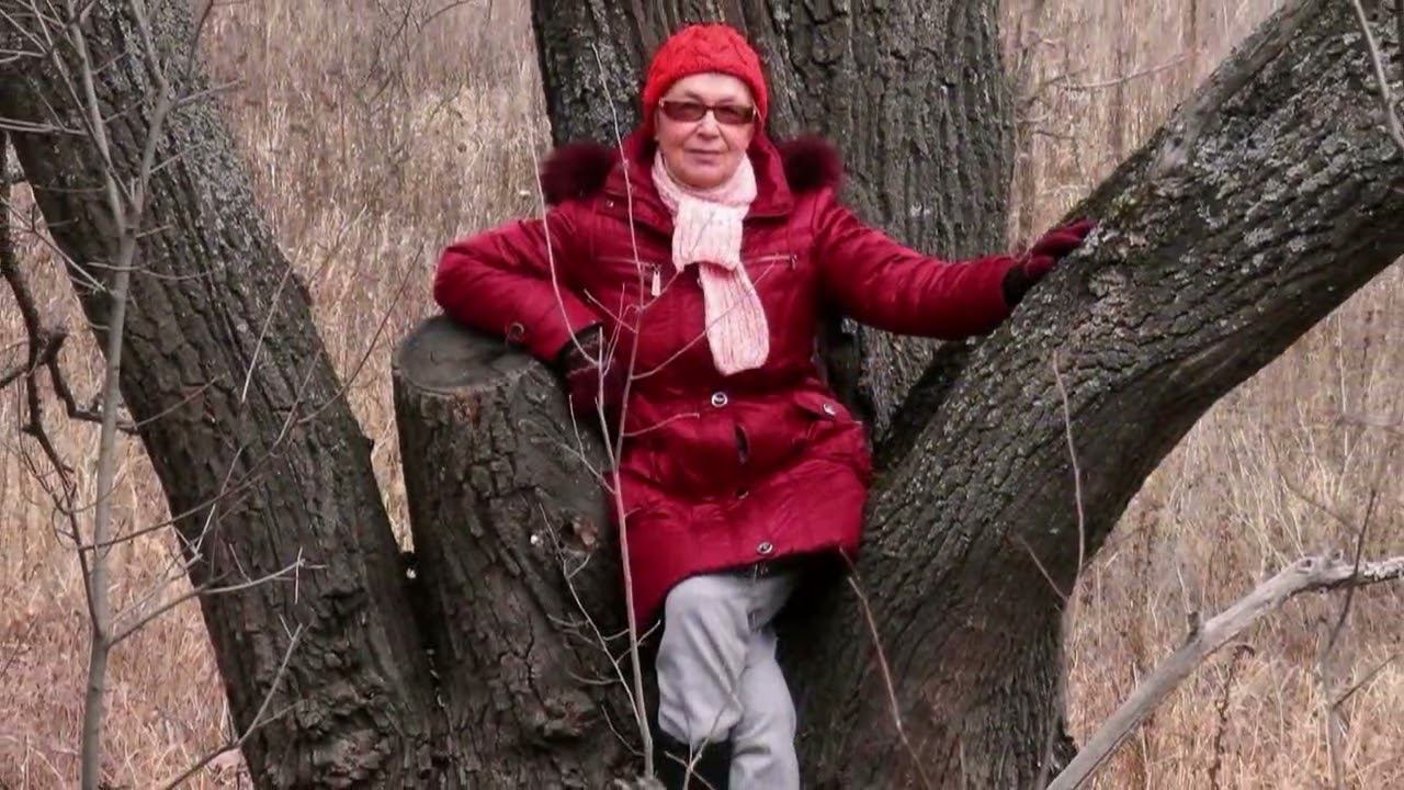 В заповедном лесу 2