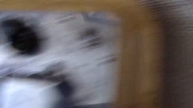 1957 Gibson Skylark Lap Steel смотреть онлайн