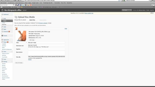 Wordpress Tutorial: Dynamic Content Gallery Basics смотреть онлайн