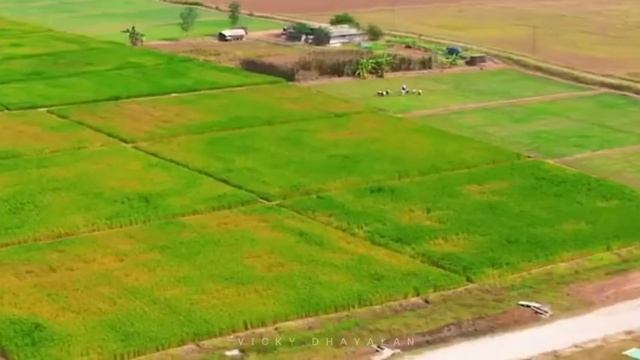 Adiyogi ?? | Isha ? | Coimbatore ? | Tamil Nadu ? | Drone View ? | Vicky Dhayalan ?✨ смотреть онлайн