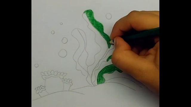 Как нарисовать водоросли смотреть онлайн