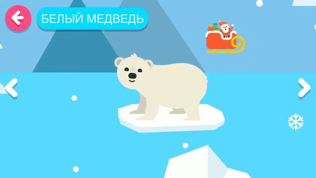 Papumba - Исследование животных смотреть онлайн