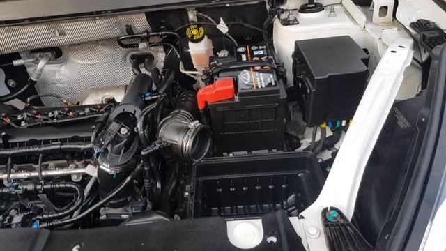 Chery Tiggo 7 Pro Я снова в отпуске