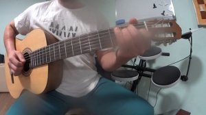 Трофим Паручик  Разбор песни