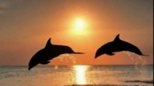 УТОМЛЕННОЕ СОЛНЦЕ   Remix