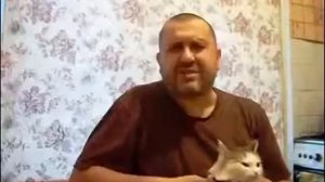 Как отучить кошку гадить Совет