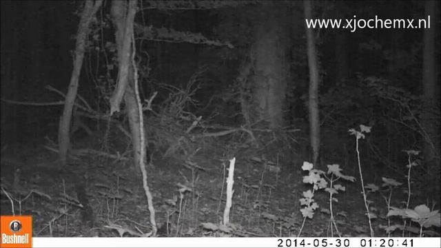 Vermoedelijk Wezel, Perl, Duitsland смотреть онлайн