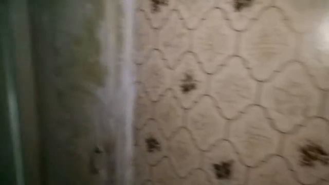 VID 20170921 090021 смотреть онлайн