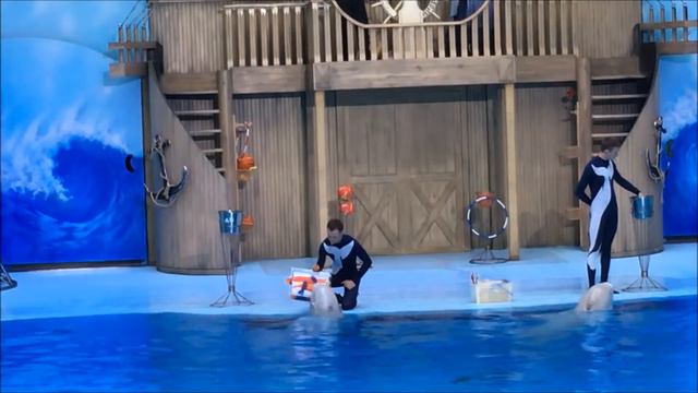 Центр океанографии и морской биологии "Дельфиния" - Цирковое шоу морских животных смотреть онлайн