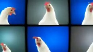 Верни мой косарь эй верни мой косарь